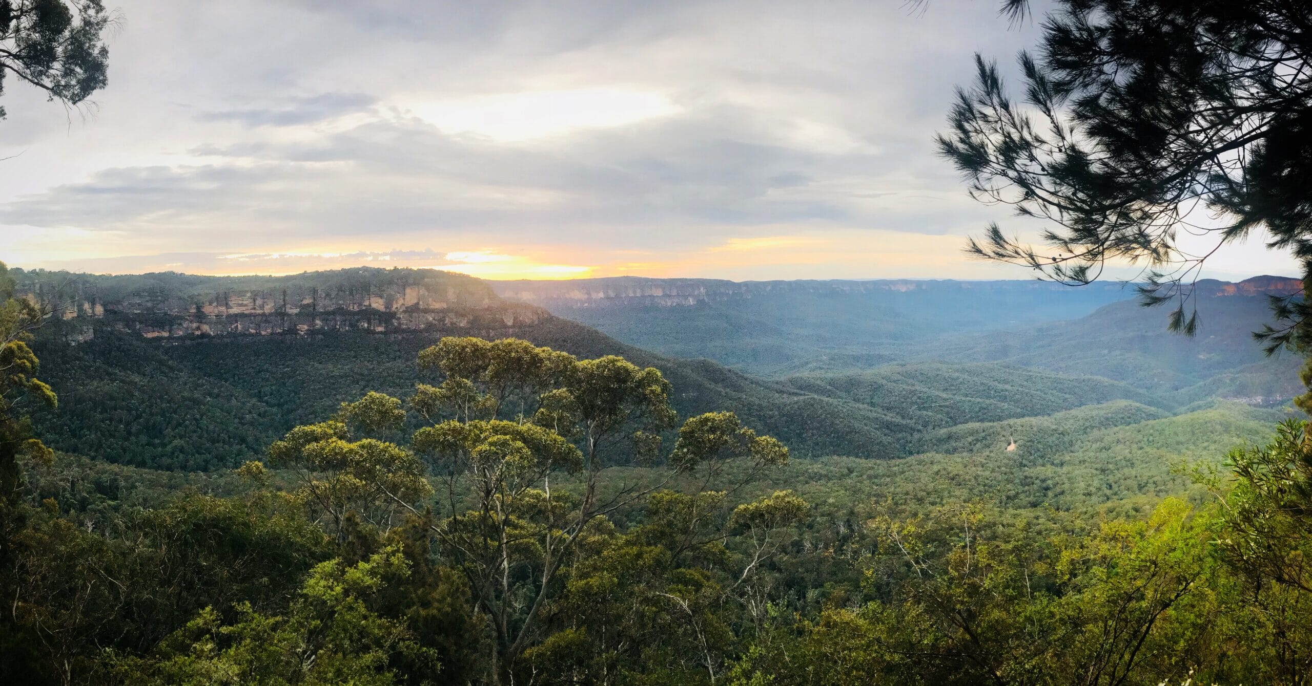 iStock-1199544859-scaled